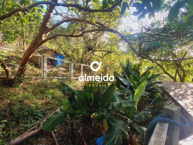 Imagem 13: CHACARA DENTRO DA CIDADE
