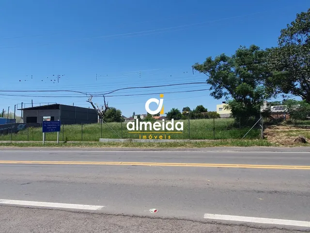 Imagem: TERRENO À VENDA DE FRENTE PRA RSC 287