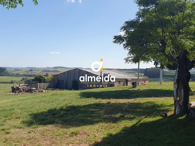 Imagem: Chácara com 9 Ha em Caçapava do Sul
