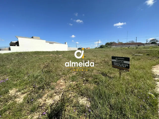Imagem: Terreno à venda Pinheiro Machado Santa