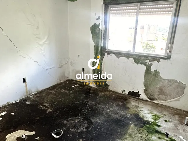 Imagem 10: Pavilhão 6 dormitórios à venda Nonoai Santa Maria/RS