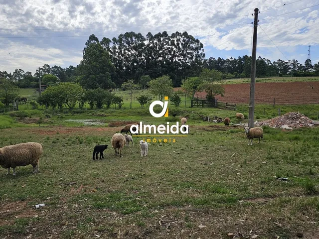 Imagem: Chácara 3 dormitórios à venda Boca do
