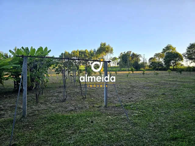 Imagem 16: Lindo Sítio de 3,3 hectares no Recanto do Maestro – Restinga Sêca/RS