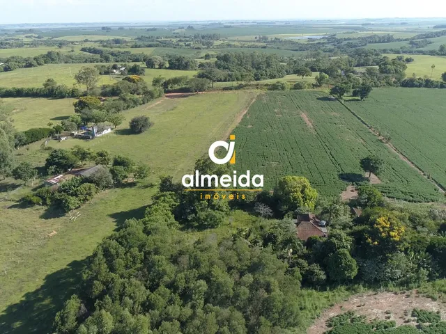 Imagem 7: Área agricultável: 29 hectares de lavoura de soja, em plena produção
