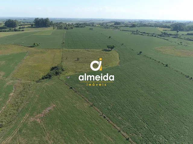 Imagem 6: Área agricultável: 29 hectares de lavoura de soja, em plena produção