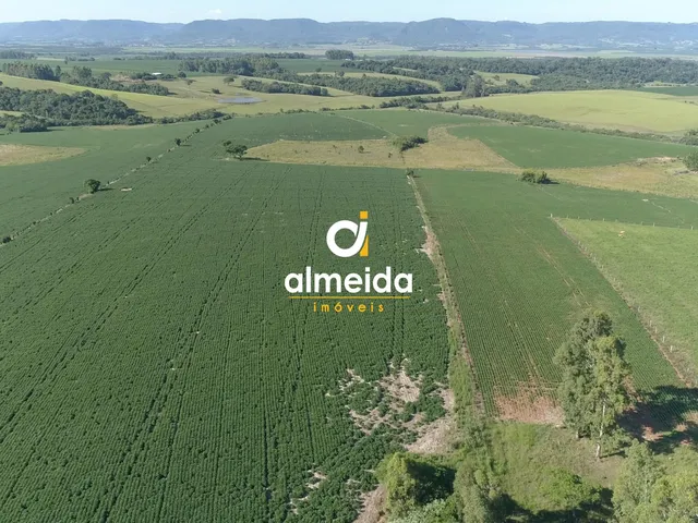 Imagem 2: Área agricultável: 29 hectares de lavoura de soja, em plena produção