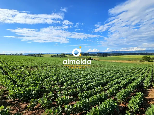 Imagem 10: Área agricultável: 29 hectares de lavoura de soja, em plena produção