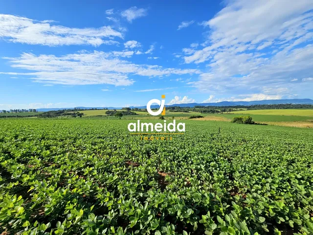 Imagem 9: Área agricultável: 29 hectares de lavoura de soja, em plena produção