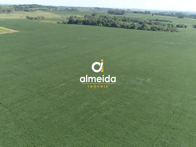 Imagem 7: Área agricultável: 27 hectares de lavoura de soja, em plena produção