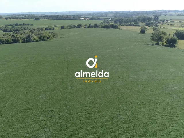 Imagem 9: Área agricultável: 27 hectares de lavoura de soja, em plena produção