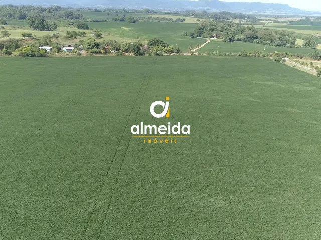 Imagem 10: Área agricultável: 27 hectares de lavoura de soja, em plena produção