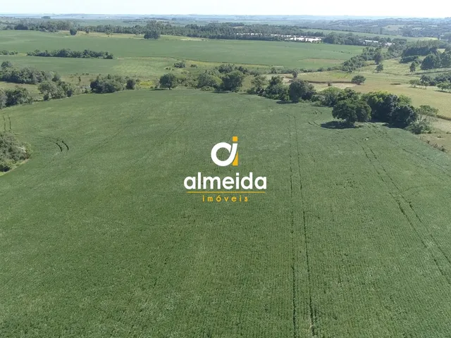 Imagem 12: Área agricultável: 27 hectares de lavoura de soja, em plena produção