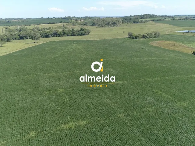 Imagem 3: Área agricultável: 27 hectares de lavoura de soja, em plena produção