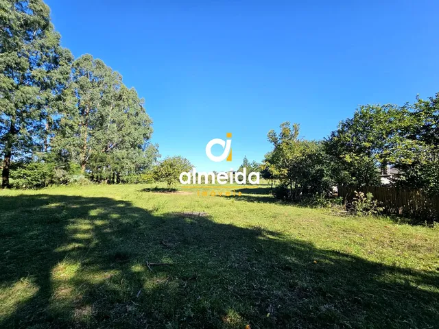 Imagem 7: Chacara no Arroio do Só Santa Maria RS