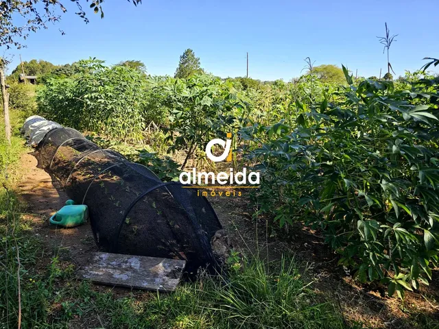 Imagem 12: Chacara no Arroio do Só Santa Maria RS