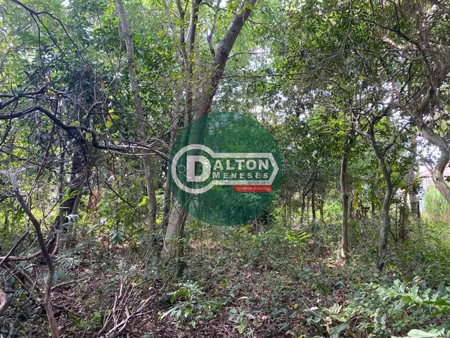 Imagem 9: ESCRITURA PÚBLICA: Chácara com 13.000m² no Rio Vermelho e viabilidade Comercial!