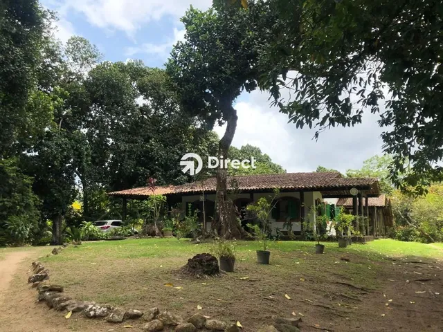 Imagem: Chácara em Borralho, Camaragibe/PE