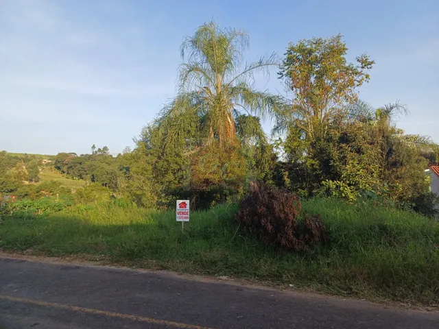 Imagem: Terreno Comercial/Residencial em Telêmaco