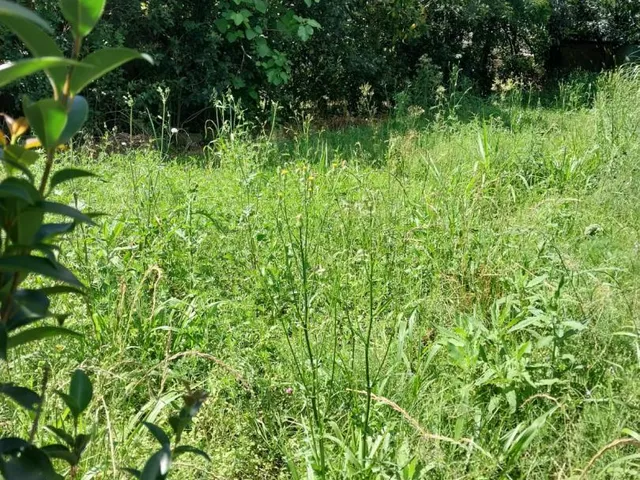 Imagem 3: TERRENO Terreno / lote com venda por R$60.000