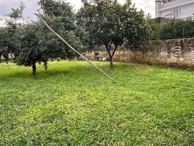 Imagem 7: Ótima oportunidade!