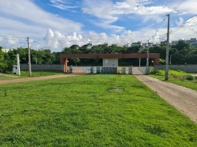 Imagem 12: Casa terrea 3/4 a venda no Residencial Alvorada, Abrantes