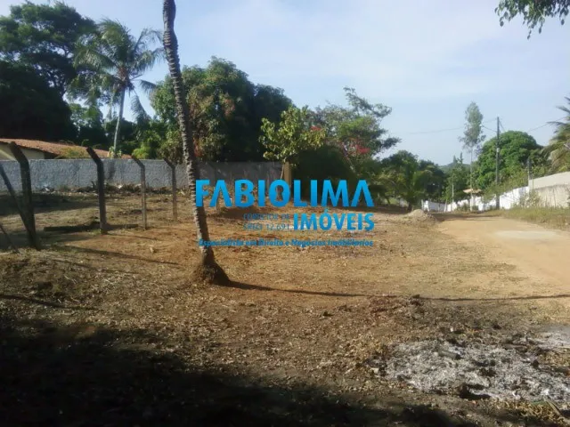 Imagem 3: Terreno para empreendimento em Abrantes, Las Palmas