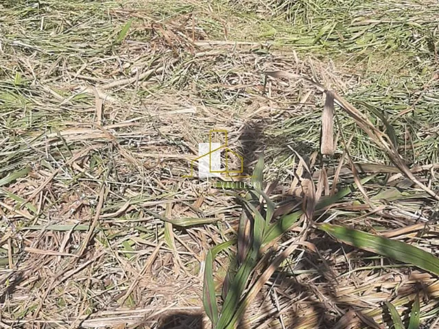 Imagem 5: LOTE 420 METROS Á VENDA EM MORADA DE LARANJEIRAS, SERRA