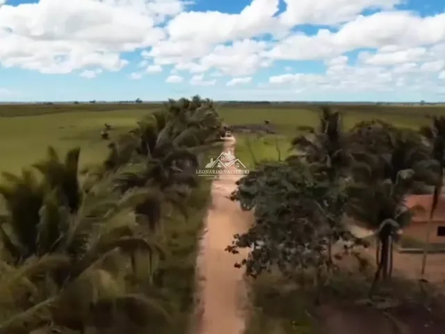 Imagem: Fazenda Agropecuária em Pontal do Ipiranga