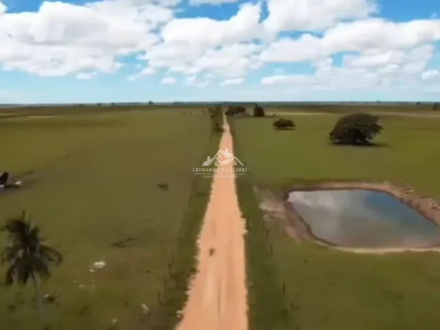Imagem 10: Fazenda Agropecuária em Pontal do Ipiranga com 110 Alqueires 17 mantas com Água