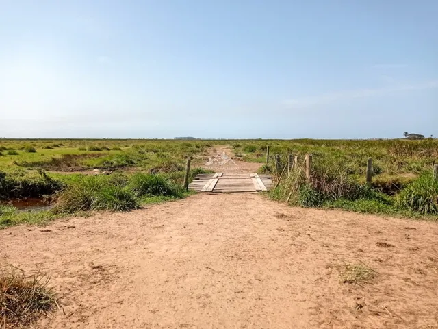 Imagem 7: Fazenda Agropecuária em Pontal do Ipiranga com 110 Alqueires 17 mantas com Água