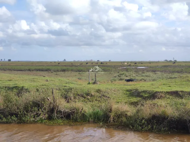 Imagem 15: Fazenda Agropecuária em Pontal do Ipiranga com 110 Alqueires 17 mantas com Água