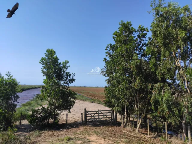 Imagem 12: Fazenda Agropecuária em Pontal do Ipiranga com 110 Alqueires 17 mantas com Água