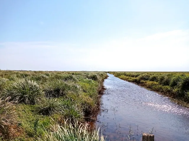 Imagem 16: Fazenda Agropecuária em Pontal do Ipiranga com 110 Alqueires 17 mantas com Água