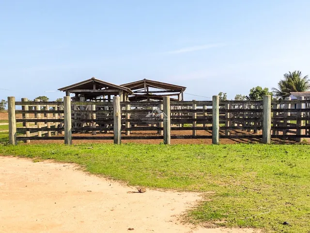 Imagem 2: Fazenda Agropecuária em Pontal do Ipiranga com 110 Alqueires 17 mantas com Água