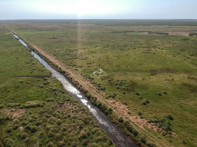 Imagem 4: Fazenda Agropecuária em Pontal do Ipiranga com 110 Alqueires 17 mantas com Água