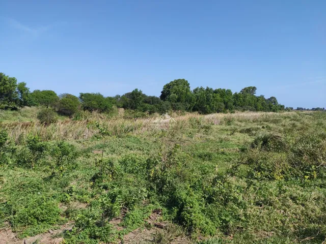 Imagem 6: Fazenda Agropecuária em Pontal do Ipiranga com 110 Alqueires 17 mantas com Água