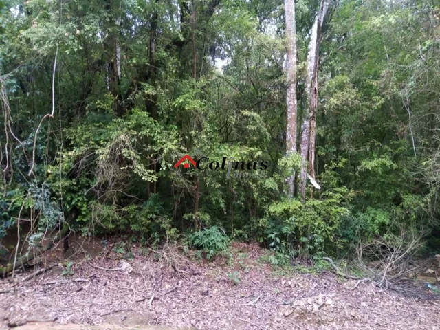 Imagem 6: Terreno em Condomínio Residencial em Ibiúna - Sp, Depois do Centro