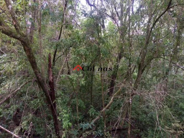 Imagem 3: Terreno em Condomínio Residencial em Ibiúna - Sp, Depois do Centro