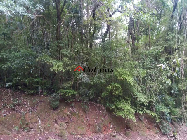 Imagem 5: Terreno em Condomínio Residencial em Ibiúna - Sp, Depois do Centro