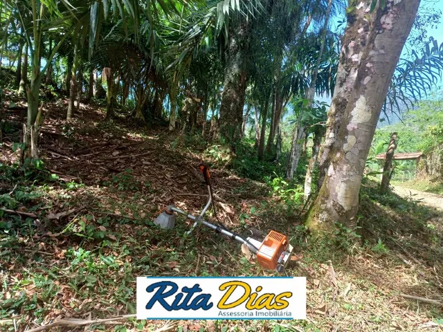 Imagem 2: Terreno em Zona Rural, Antonina/PR