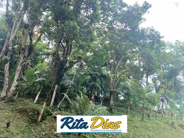 Imagem 5: Terreno em Zona Rural, Antonina/PR