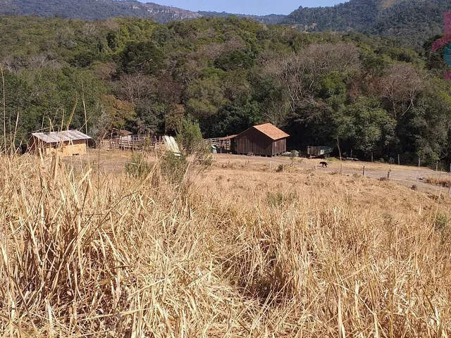 Imagem 11: Chácara - Lindo Sítio 33,77 Alqueires - Itambezinho!