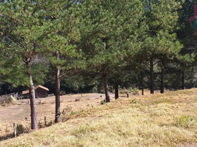 Imagem 6: Chácara - Lindo Sítio 33,77 Alqueires - Itambezinho!