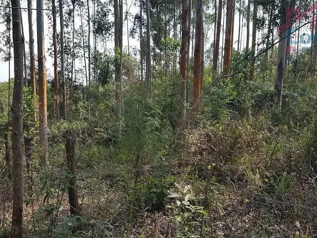 Imagem 6: Área Rural 10 Alqueires - 3 Barras de Cima - Bateias!