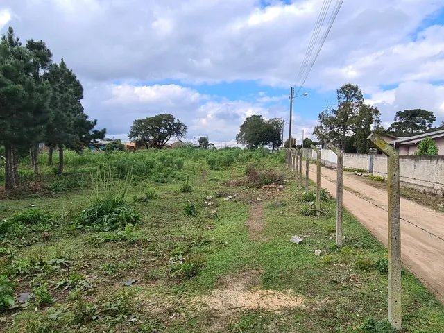 Imagem 2: Área Industrial - Região Central - Campo Largo - PR