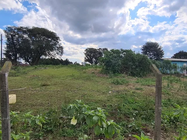 Imagem 5: Área Industrial - Região Central - Campo Largo - PR
