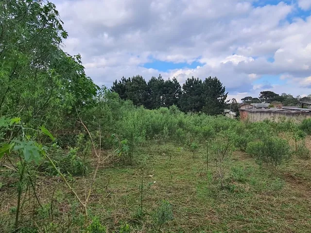 Imagem 10: Área Industrial - Região Central - Campo Largo - PR