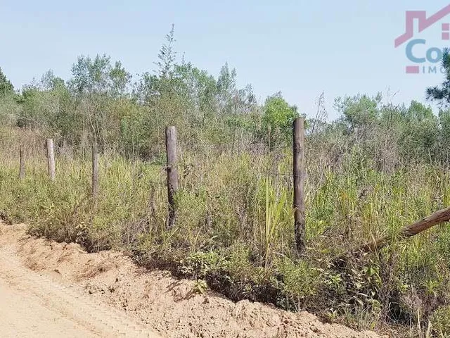 Imagem 6: Área Rural 5 Alqueires - 3 Barras de Cima - Bateias!