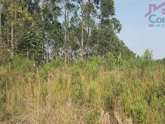 Imagem 3: Área Rural 5 Alqueires - 3 Barras de Cima - Bateias!