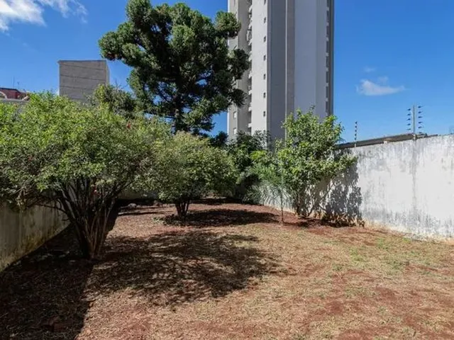 Imagem 4: Casa para Aluguel Maringá Vila Marumby